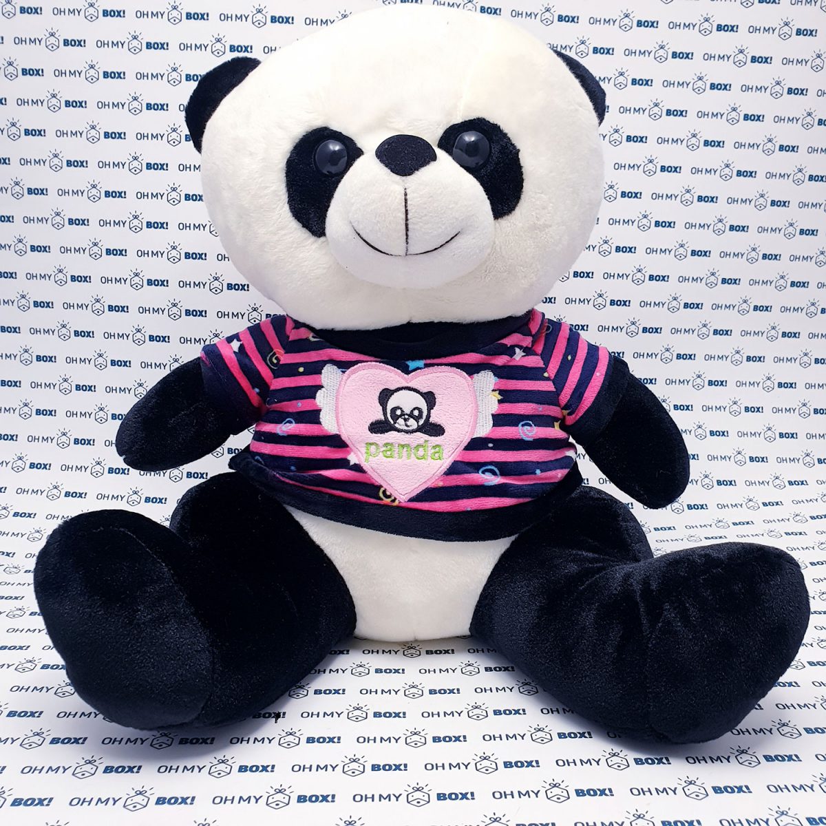 Panda teddy bear wearing  shirt