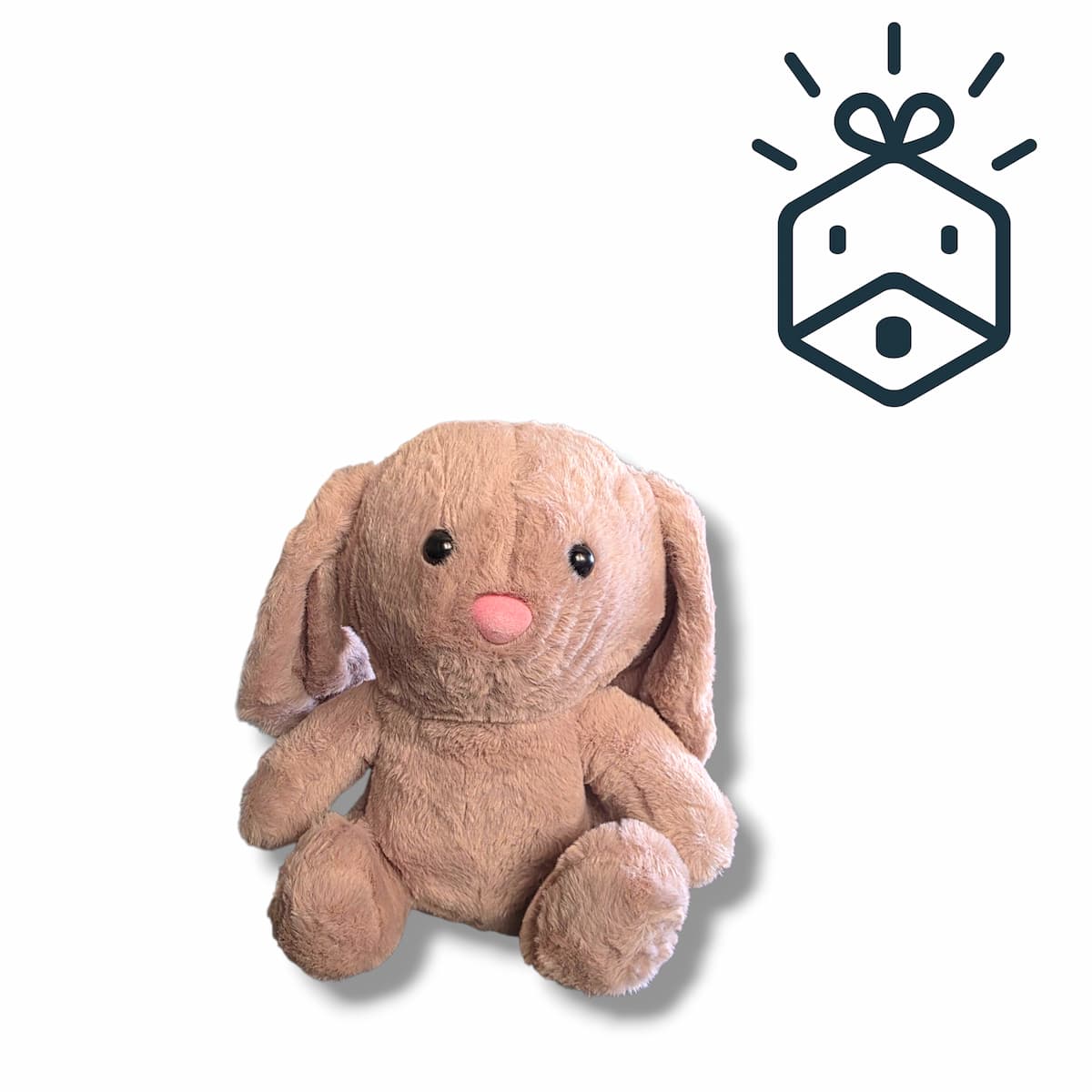 Sleeping Bunny