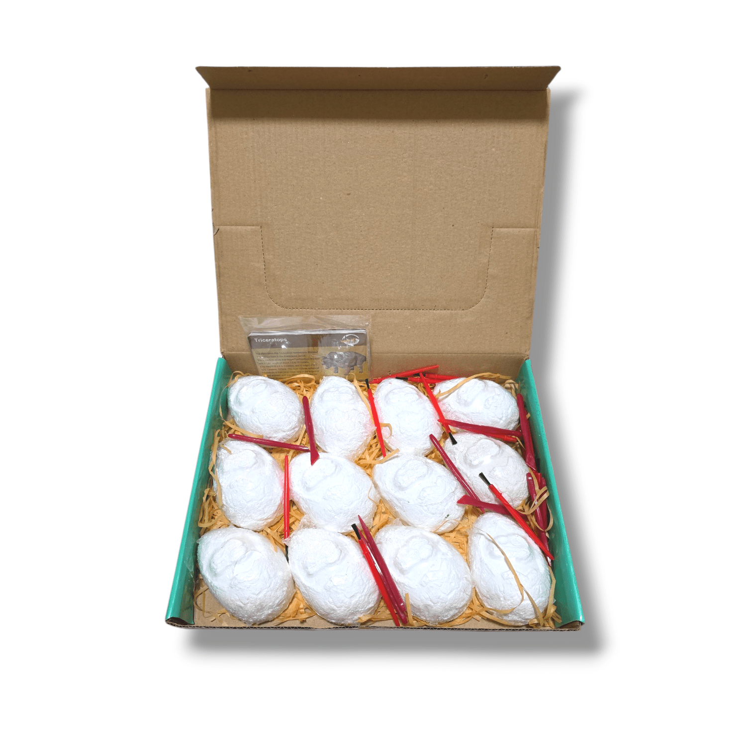 Dino Eggs